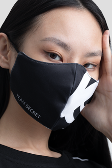 Load image into Gallery viewer, Secret Face Mask Kit